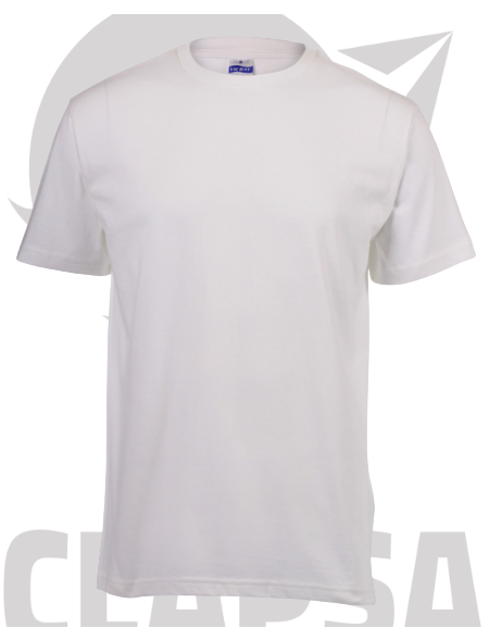 platinum_t-shirt6-removebg-preview